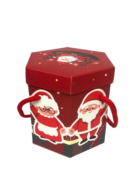 IT pralinky MAITRE TRUFFOUT - Hexagon papier- MIX 150g