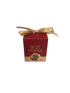 IT pralinky MAITRE TRUFFOUT - Mašľa RED 100g