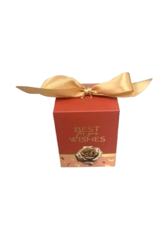IT pralinky MAITRE TRUFFOUT - Mašľa LightRed 100g