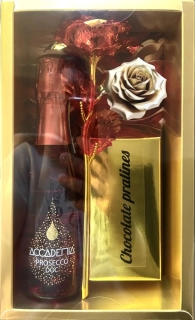 Zlatá kazeta BOTTEGA Red